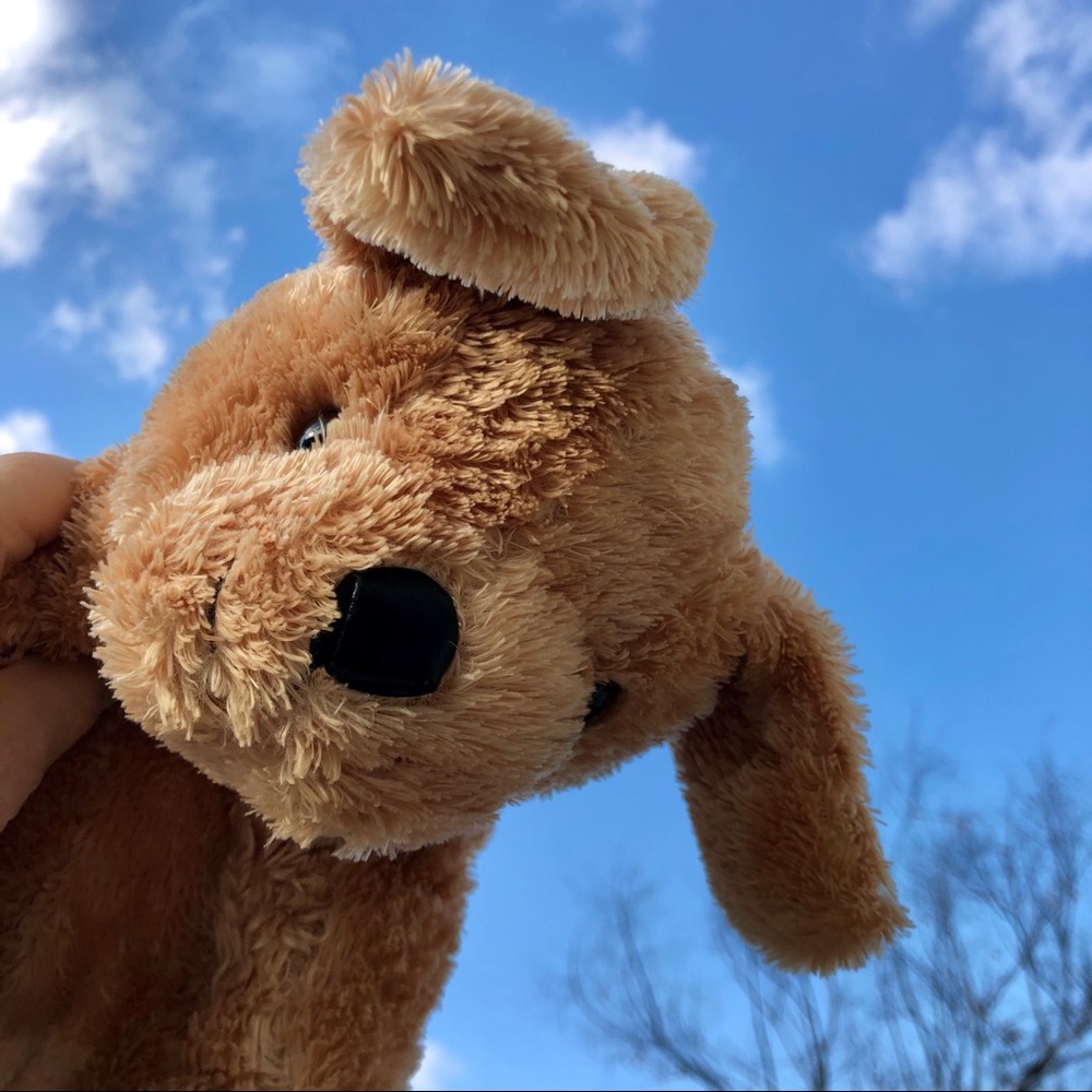 Kohl’s Cares Plush Golden Retriever Stuffed Animal Dog